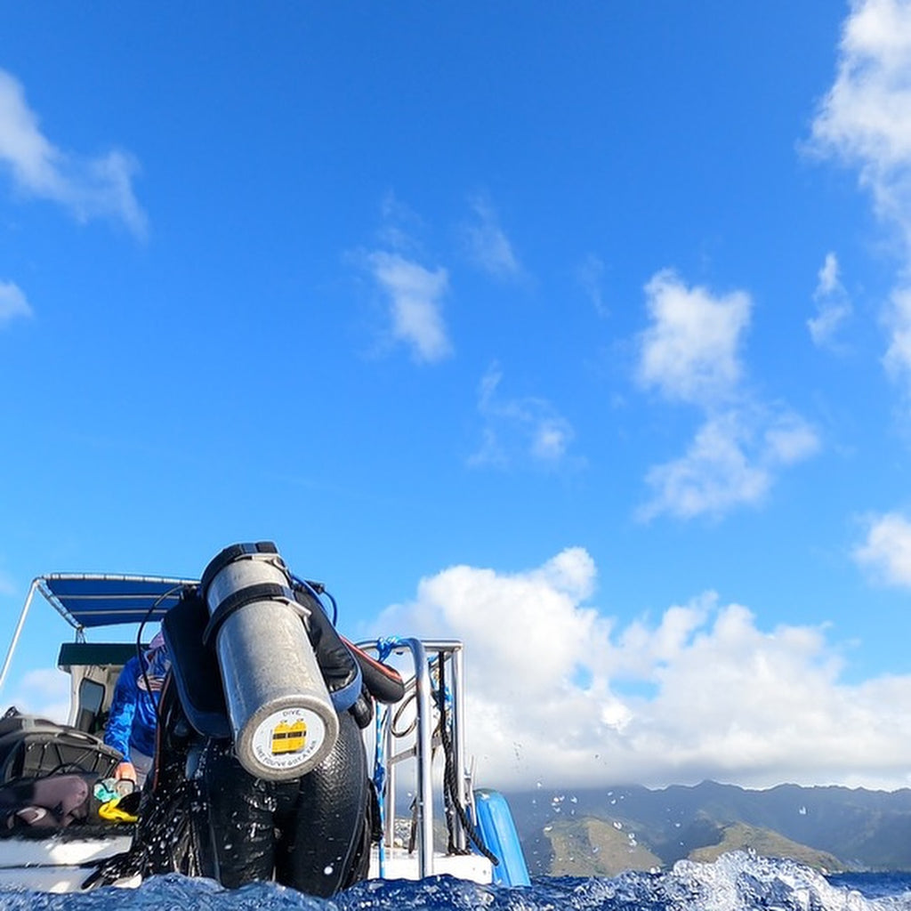 I'm Off Gassing Bumper Sticker