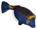 Boxfish Sticker