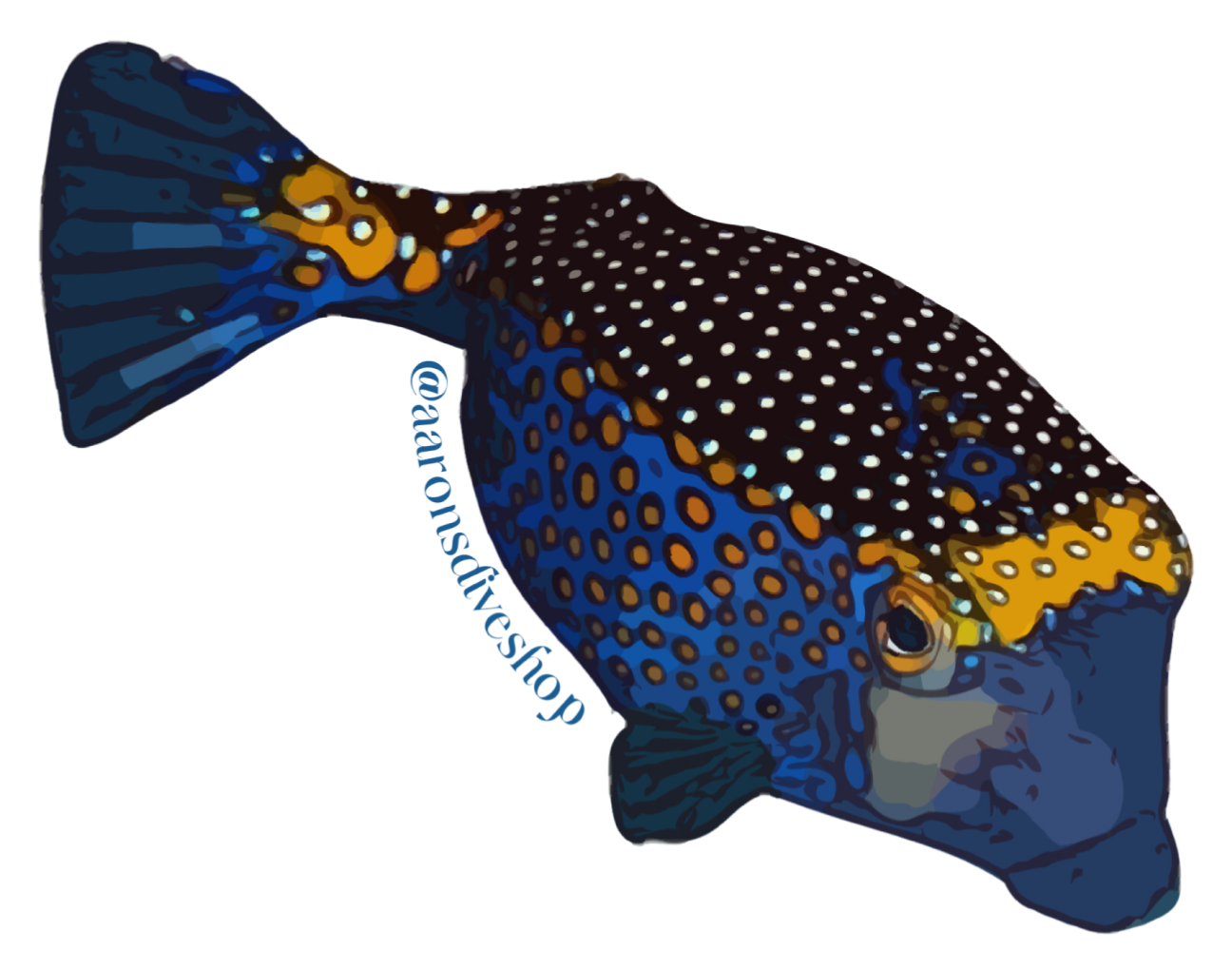 Boxfish Sticker