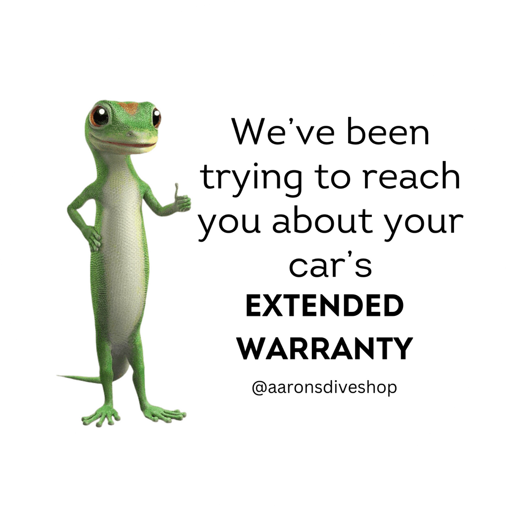 Car Insurance Bumper Sticker