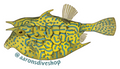 Cowfish Sticker