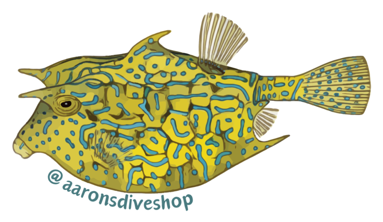 Cowfish Sticker