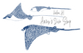 Eagle Rays Sticker