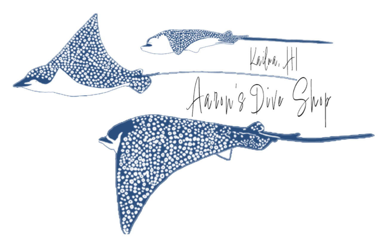 Eagle Rays Sticker