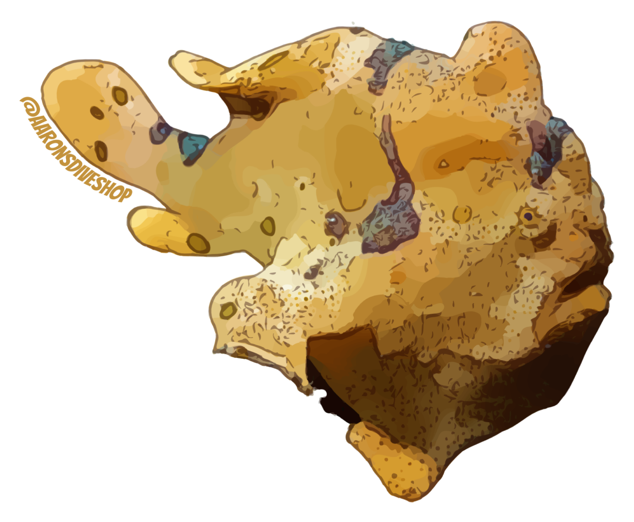 Frogfish Sticker