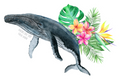 Humpback with Flowers Sticker