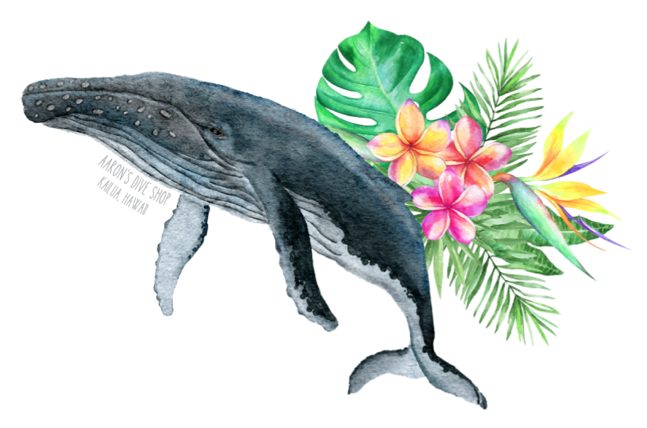 Humpback with Flowers Sticker