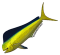 Mahimahi Sticker