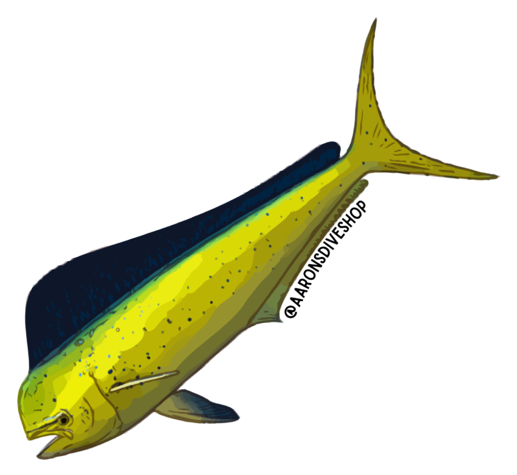 Mahimahi Sticker