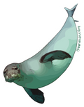 Monk Seal Sticker