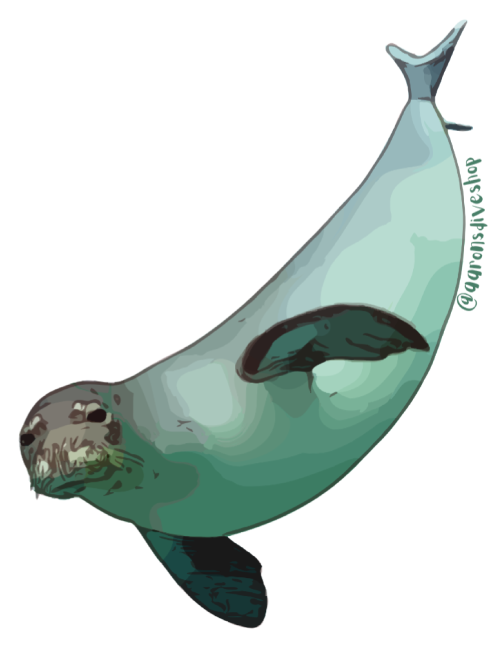 Monk Seal Sticker