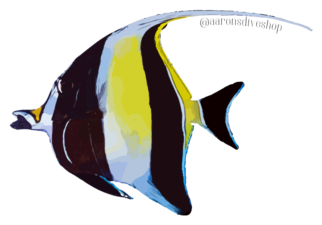 Moorish Idol Sticker