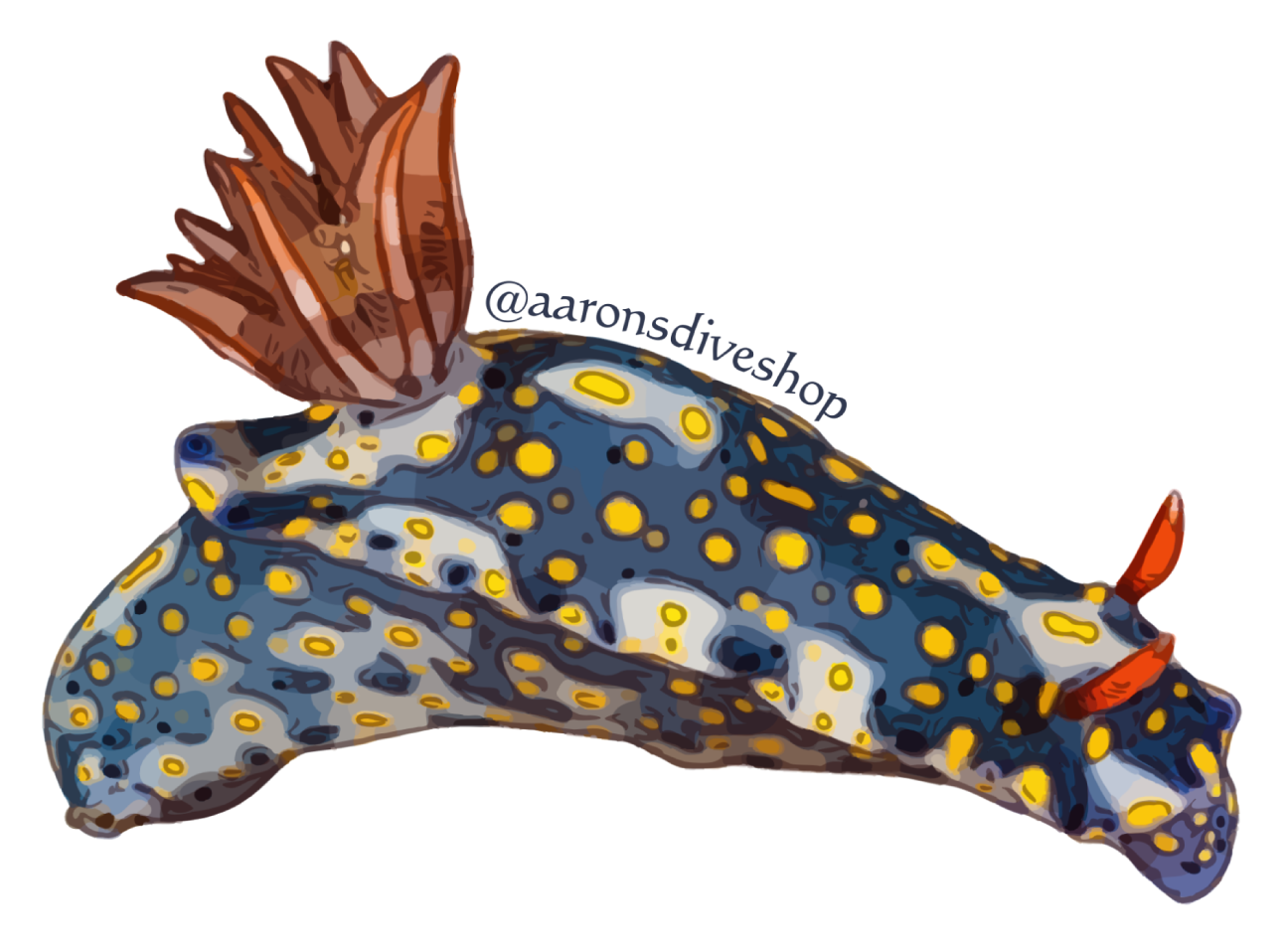 Nudibranch 2 Sticker