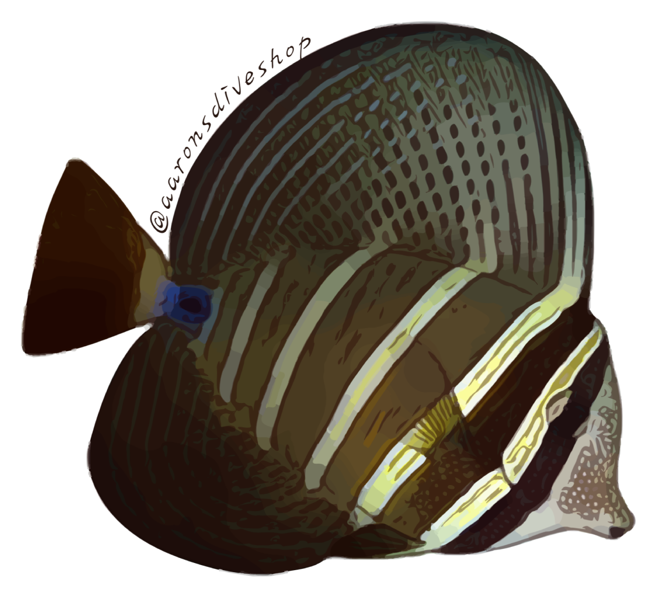 Sailfin Tang Sticker