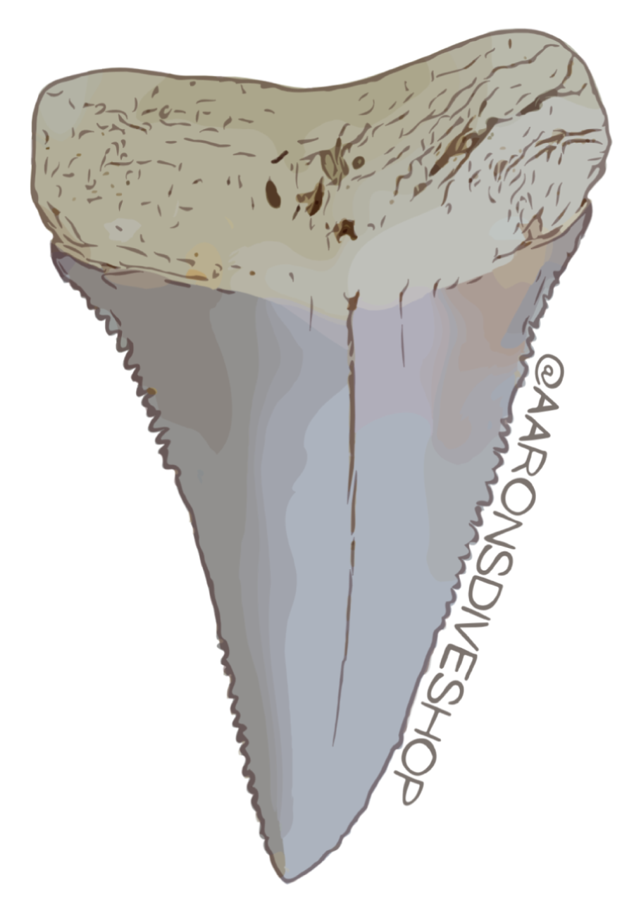 Sharktooth Sticker