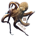 Octopus Sticker