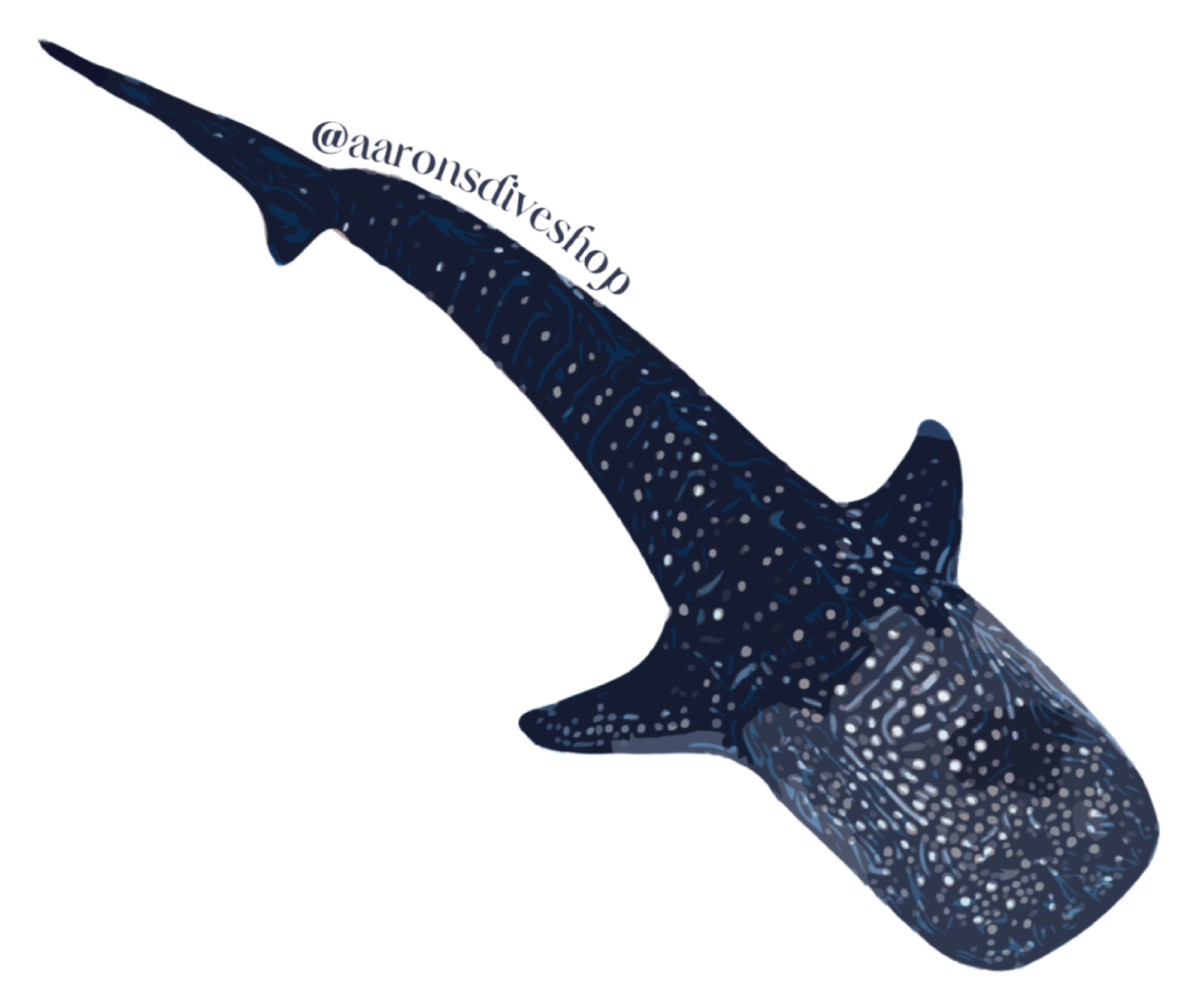 Whale Shark Sticker