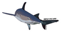 White Tip Reef Shark Sticker
