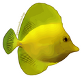 Yellow Tang Sticker